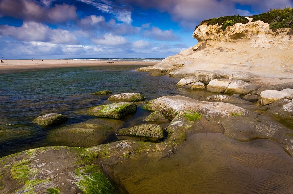 San Gregorio Beach-Big Sur-California-USA art print by Anna Miller for $57.95 CAD