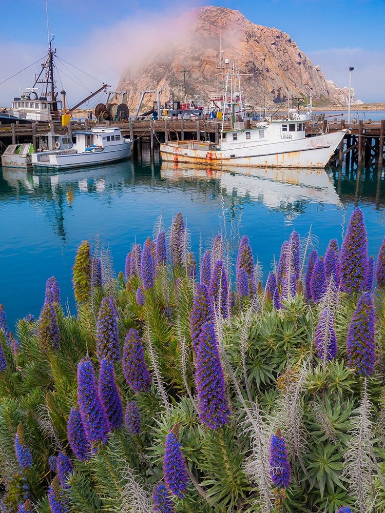 Boat Docks on Morro Bay-California-USA art print by Anna Miller for $57.95 CAD