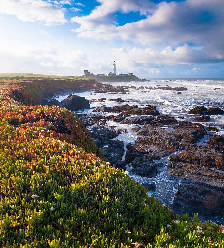 Pigeon Point Lighthouse-Big Sur-California-USA art print by Anna Miller for $57.95 CAD