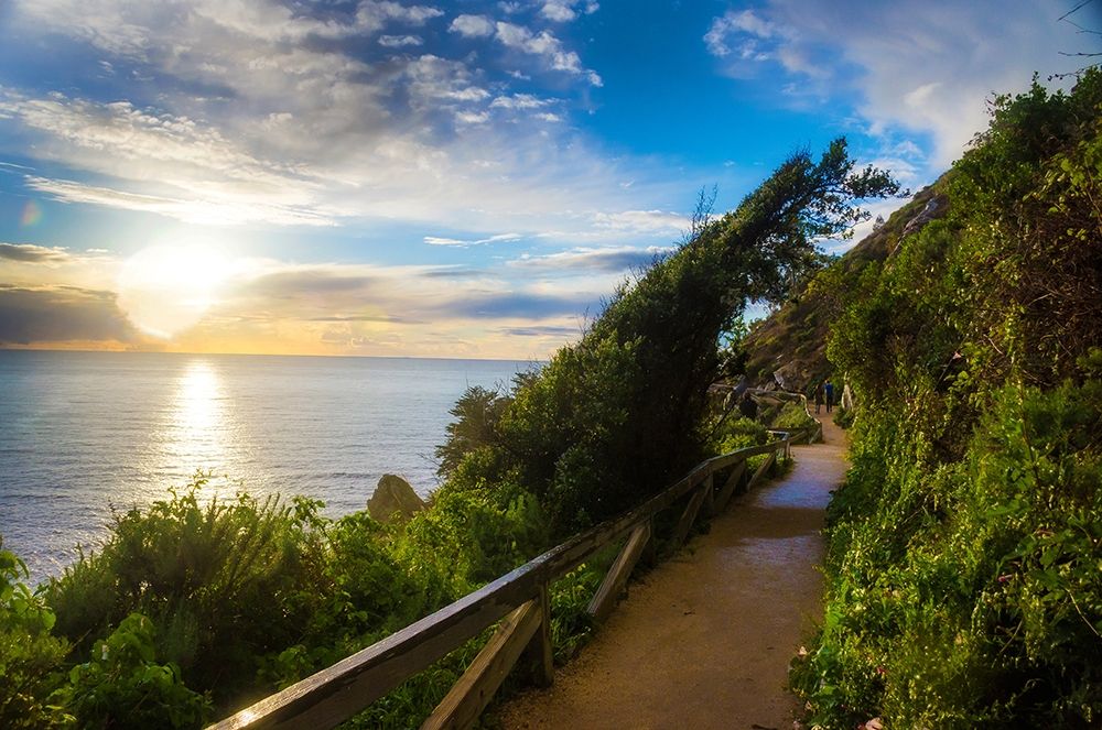 Sunset-Julia Pfeiffer Burns State Park-Big Sur-California-USA art print by Anna Miller for $57.95 CAD