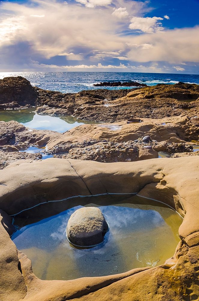 Tidepool-Point Lobos State Natural Reserve-California-USA art print by Anna Miller for $57.95 CAD