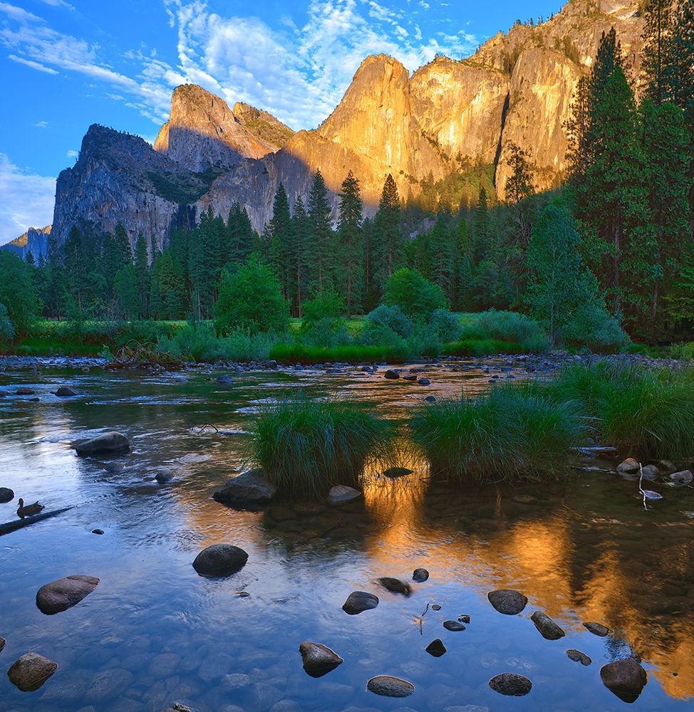 Merced River-Yosemite National Park-California-USA art print by Anna Miller for $57.95 CAD