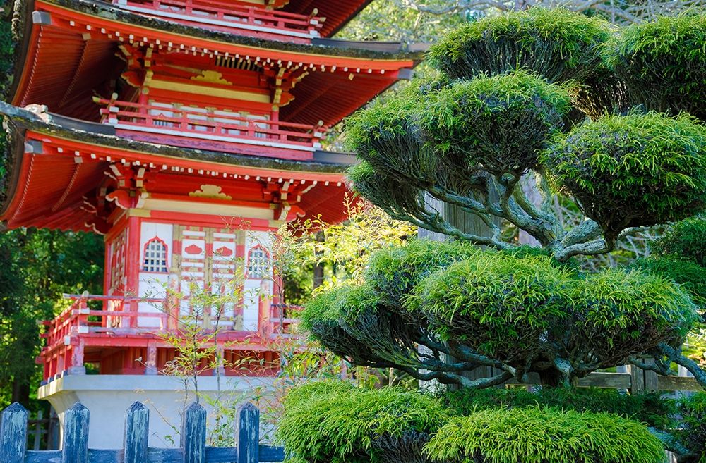 Pagoda-Japanese Tea Garden-Golden Gate Park-San Francisco-California-USA art print by Anna Miller for $57.95 CAD