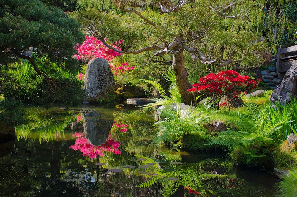 Japanese Tea Garden-Golden Gate Park-San Francisco-California-USA art print by Anna Miller for $57.95 CAD