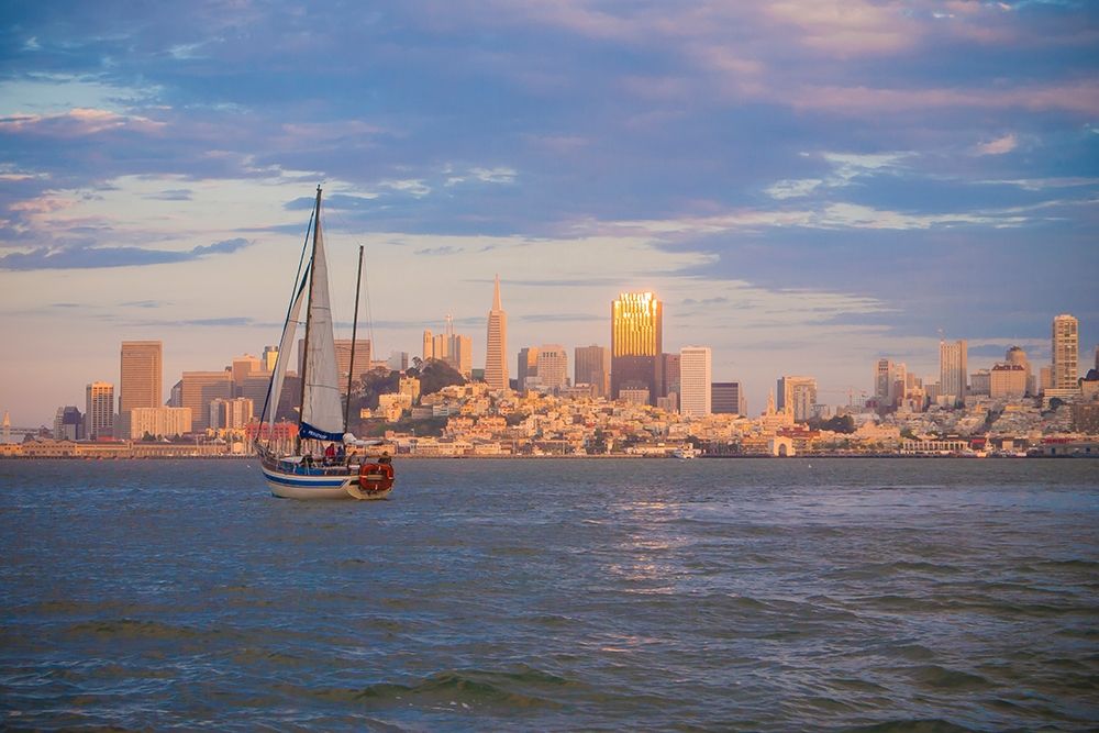 San Francisco Skyline-California-USA art print by Anna Miller for $57.95 CAD