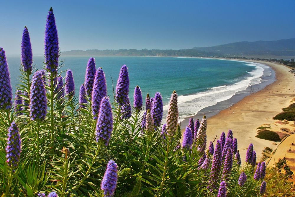Beach-Coastal Marin Headlands-California-USA art print by Anna Miller for $57.95 CAD