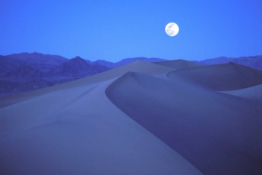 CA, Death Valley NP, Moonrise over sand dunes art print by Dennis Kirkland for $57.95 CAD