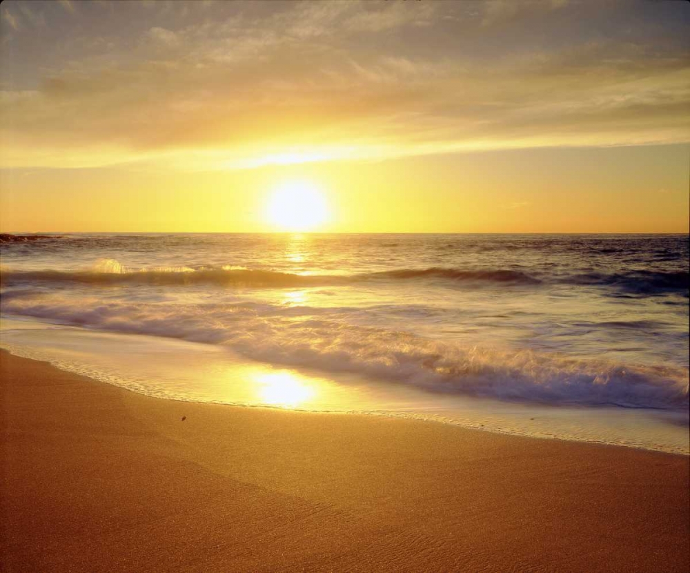 CA, San Diego La Jolla Shores beach at sunset art print by Christopher Talbot Frank for $57.95 CAD