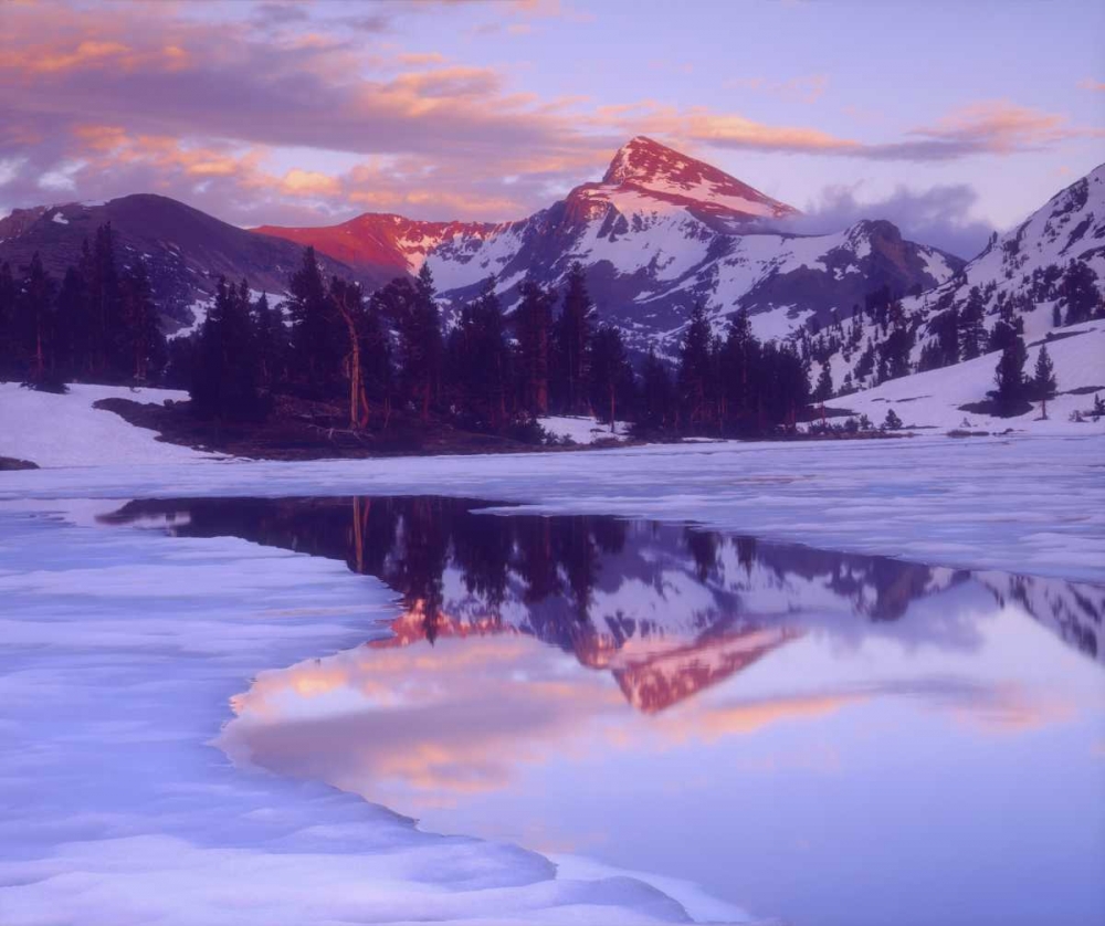 CA, Sierra Nevada Mt Dana at sunset reflection art print by Christopher Talbot Frank for $57.95 CAD