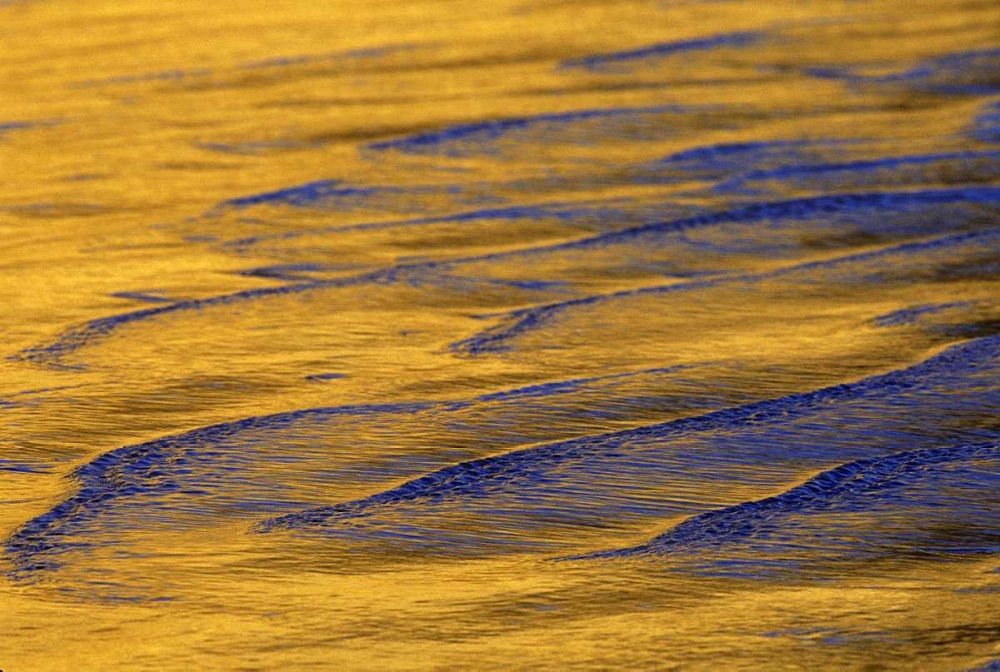 CA, Wave patterns off Torrey Pines Cliffs art print by Arthur Morris for $57.95 CAD