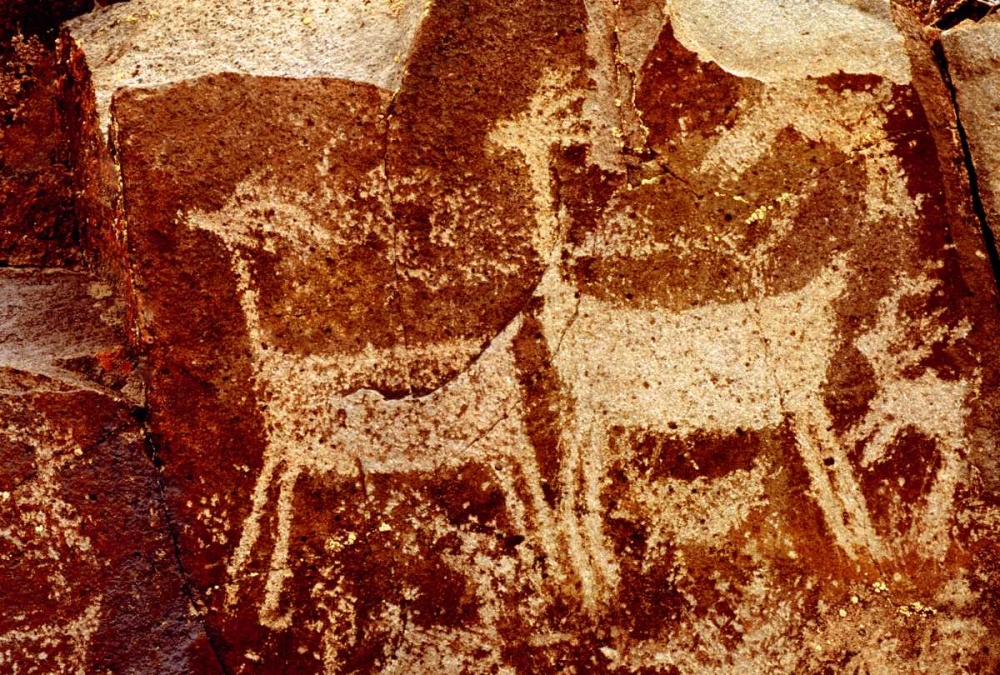 California, Little Petroglyph Canyon Petroglyphs art print by Dave Welling for $57.95 CAD
