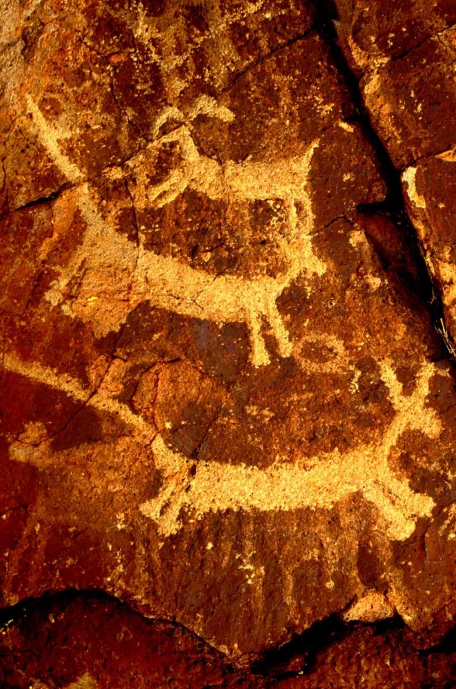 California, Little Petroglyph Canyon Petroglyphs art print by Dave Welling for $57.95 CAD