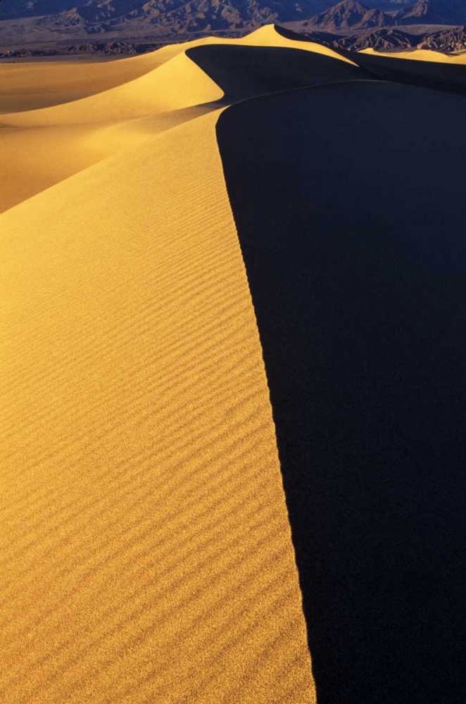 CA, Death Valley NP Patterns on Sand Dunes art print by Dave Welling for $57.95 CAD