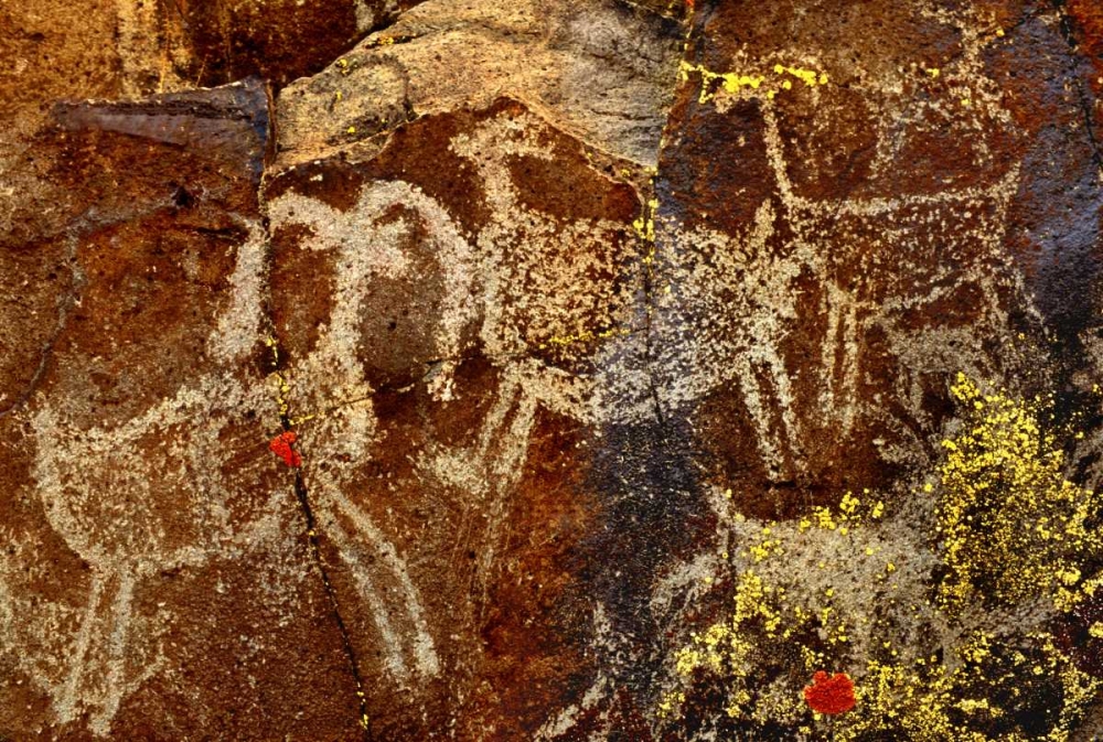 California, Little Petroglyph Canyon Petroglyphs art print by Dave Welling for $57.95 CAD