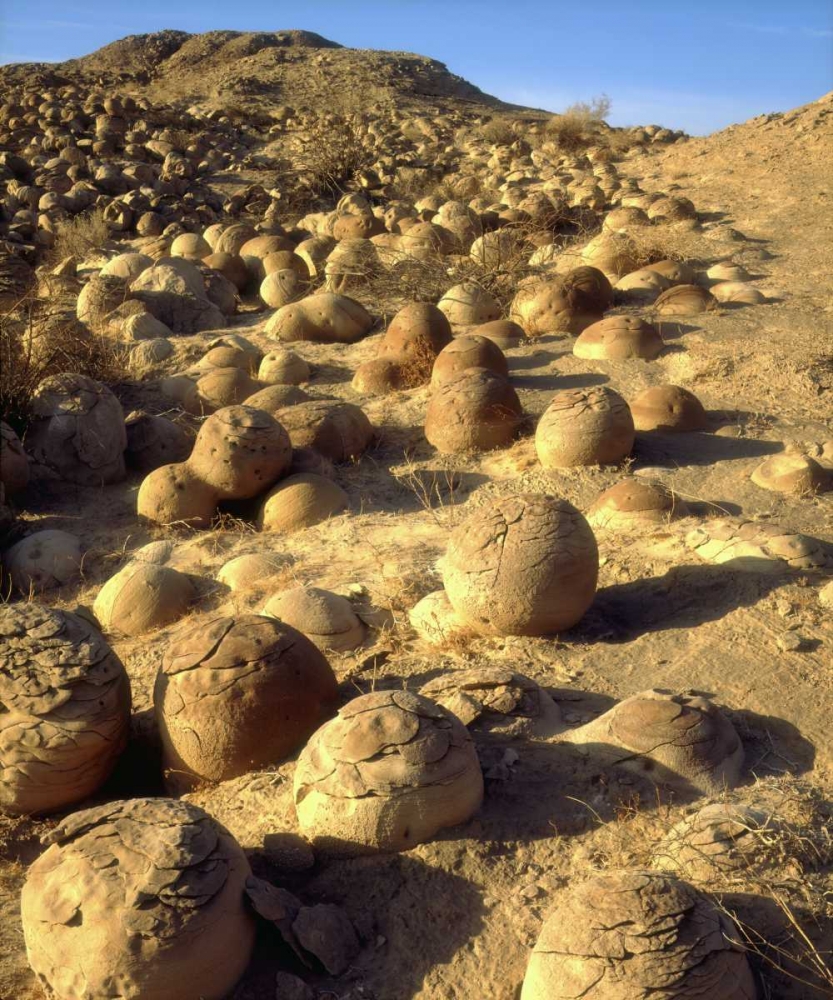 CA, San Diego Sandstone concretions patterns art print by Christopher Talbot Frank for $57.95 CAD