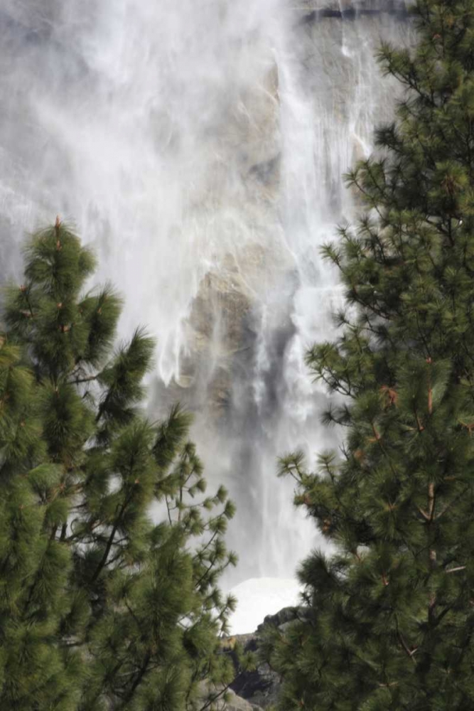 CA, Yosemite View o fYosemite Falls in March art print by Nancy Noble Gardner for $57.95 CAD