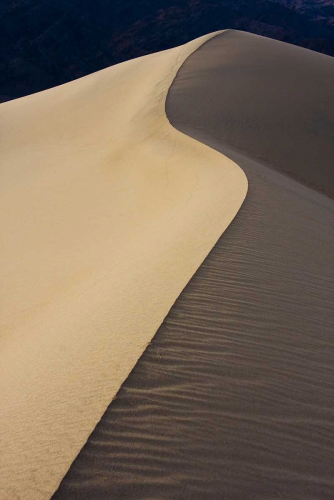 CA, Death Valley NP Dune ridge in morning light art print by Bill Young for $57.95 CAD