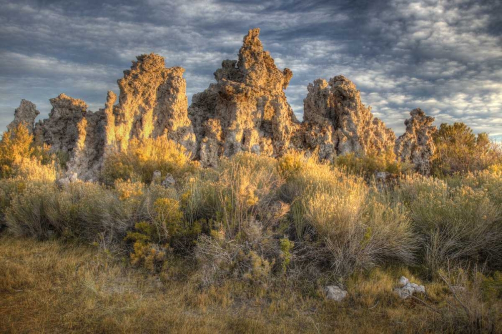 California, Mono Lake Sunrise on tufas and grass art print by Jean Carter for $57.95 CAD