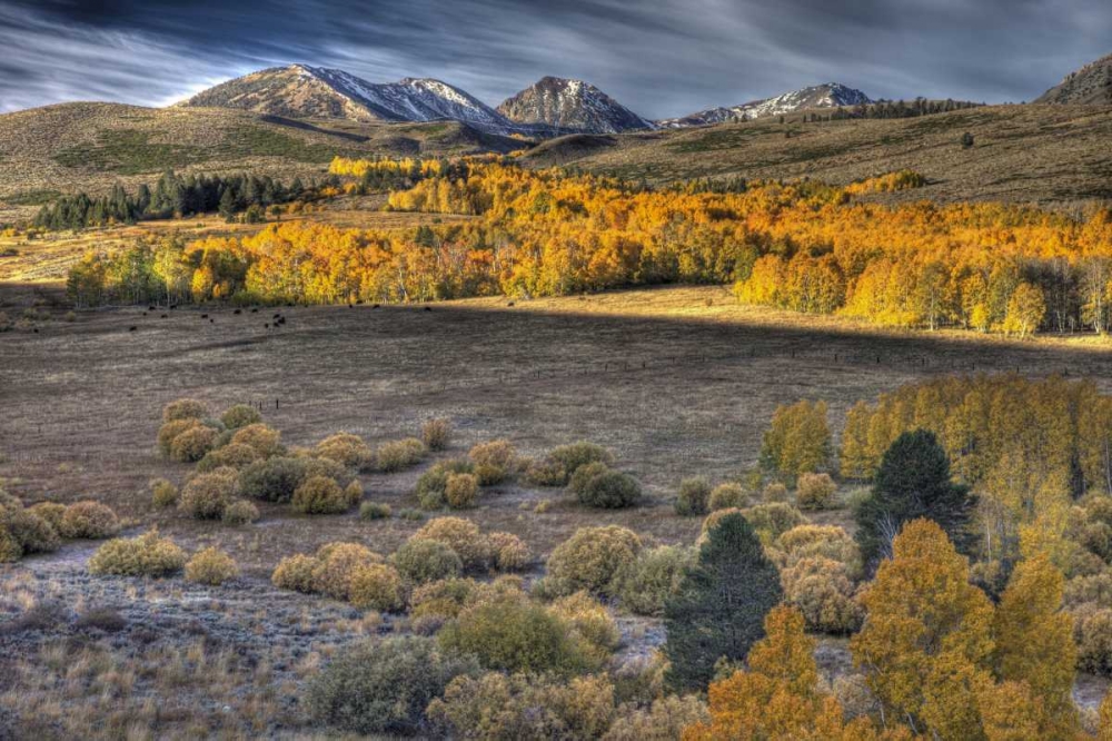 CA, Eastern Sierra Nevada from Conway Summit art print by Jean Carter for $57.95 CAD