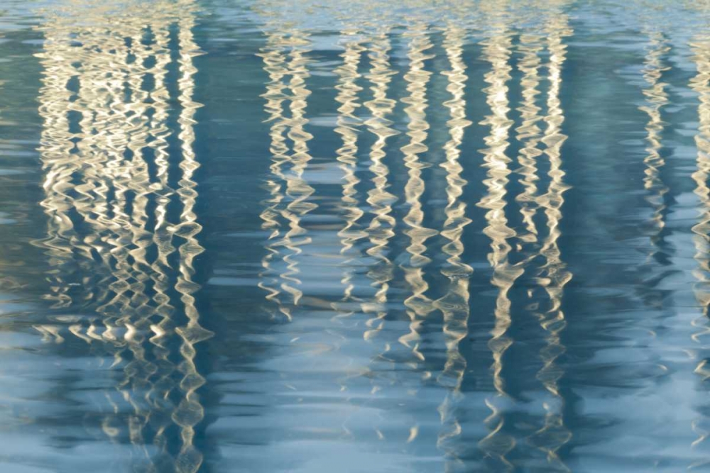 CA, San Diego Reflection on Childrens Park pool art print by Don Paulson for $57.95 CAD