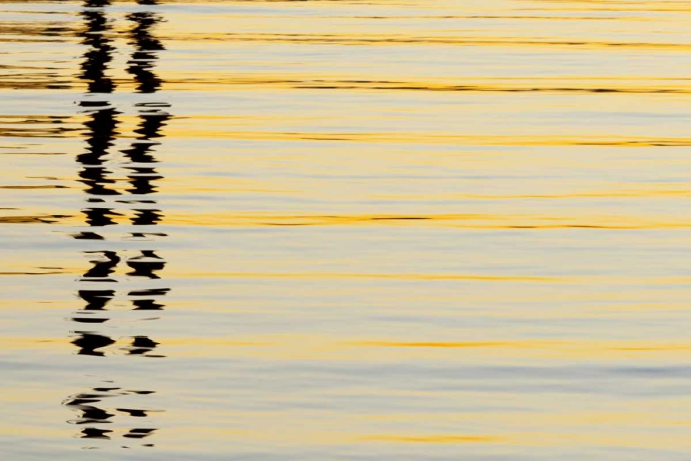 CA, San Diego Abstract reflections in the harbor art print by Don Paulson for $57.95 CAD