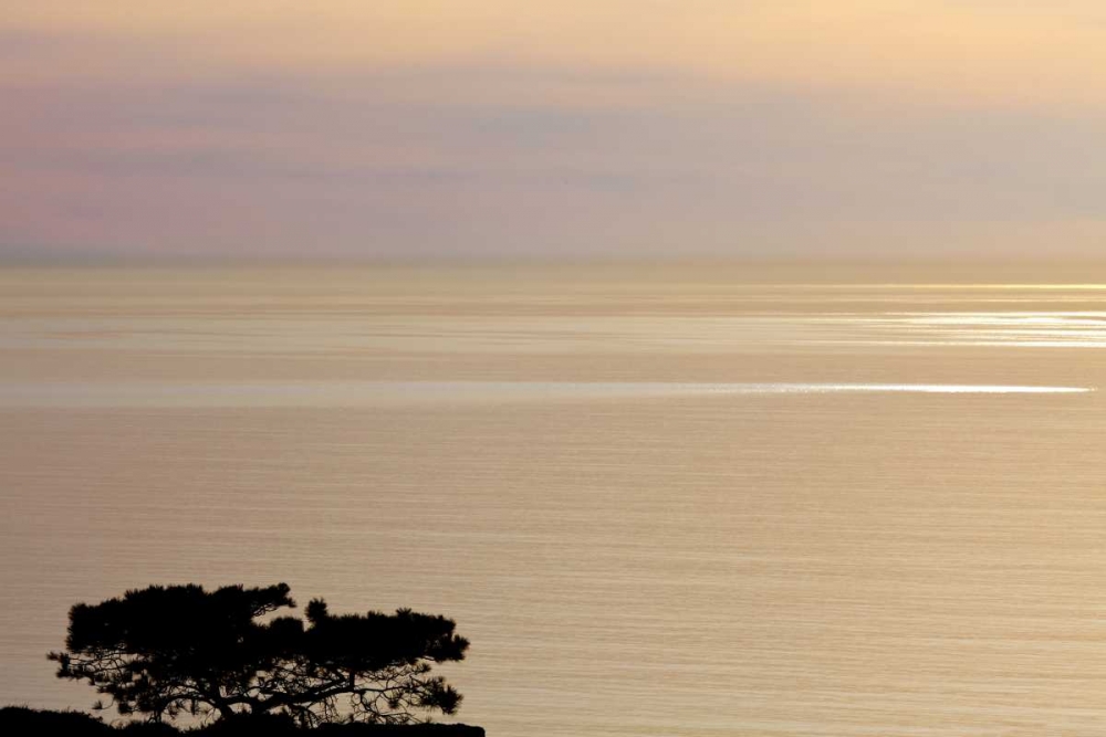 USA, California, La Jolla Sunset on ocean art print by Don Paulson for $57.95 CAD