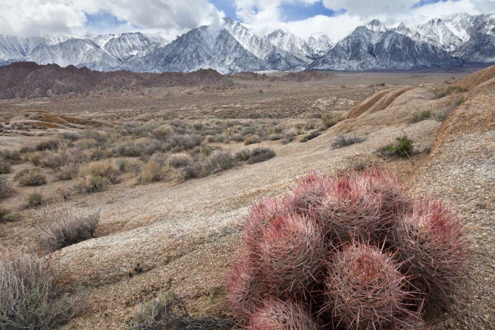 California, Lone Pine Alabama Hills and Sierras art print by Don Paulson for $57.95 CAD