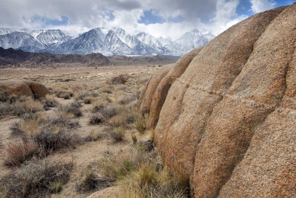 California, Lone Pine Alabama Hills and Sierras art print by Don Paulson for $57.95 CAD