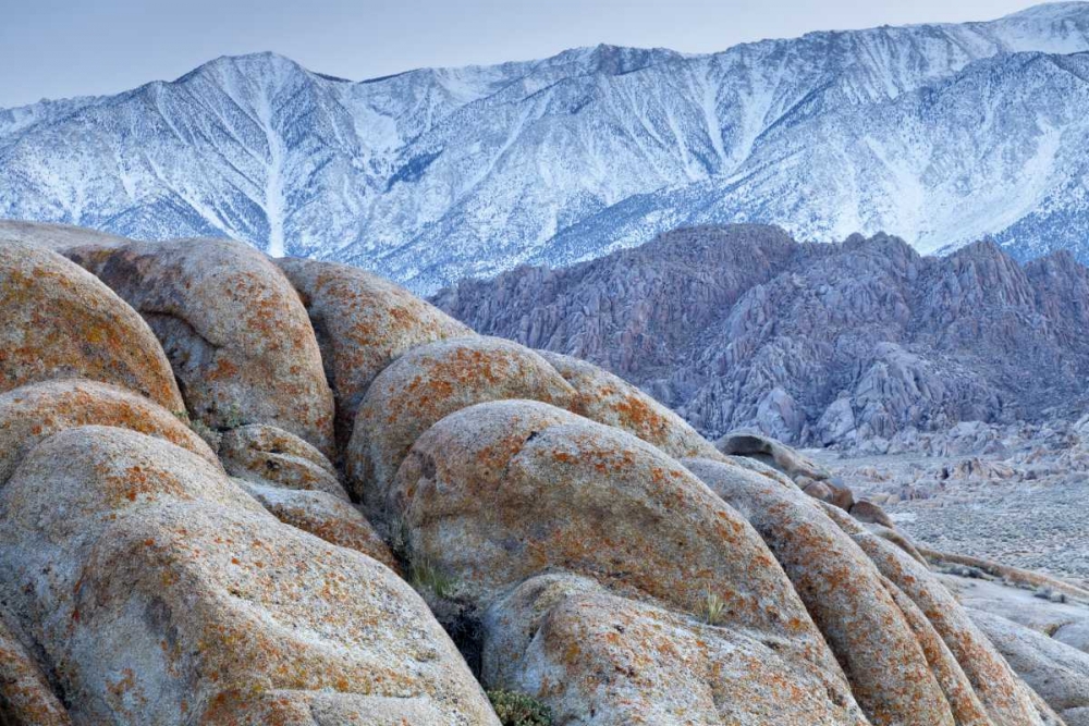 California, Lone Pine Alabama Hills and Sierras art print by Don Paulson for $57.95 CAD