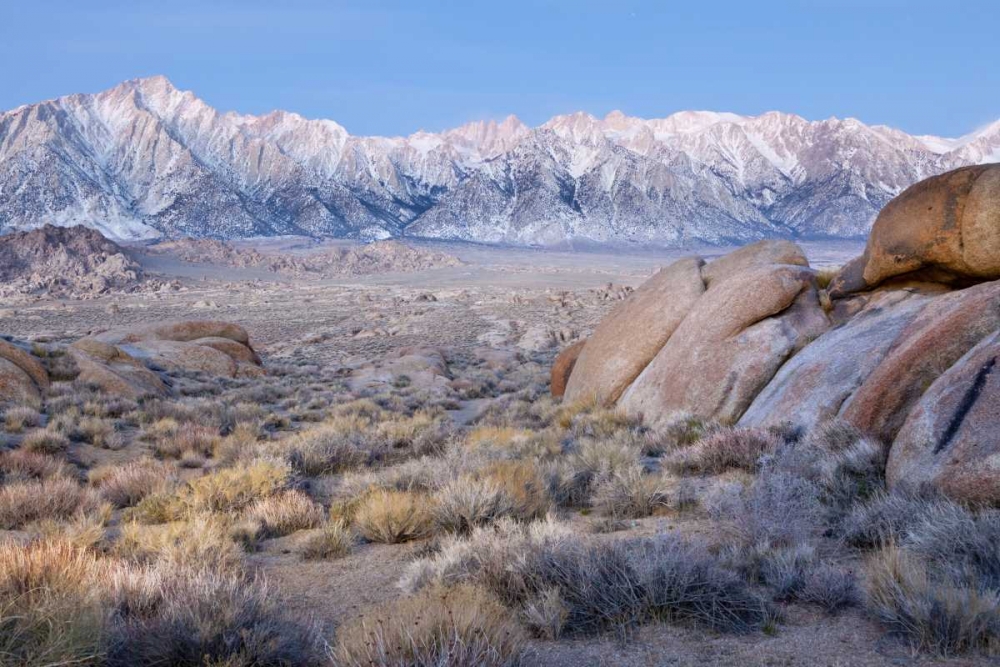 California Lone Pine Peak and Mt Whitney art print by Don Paulson for $57.95 CAD