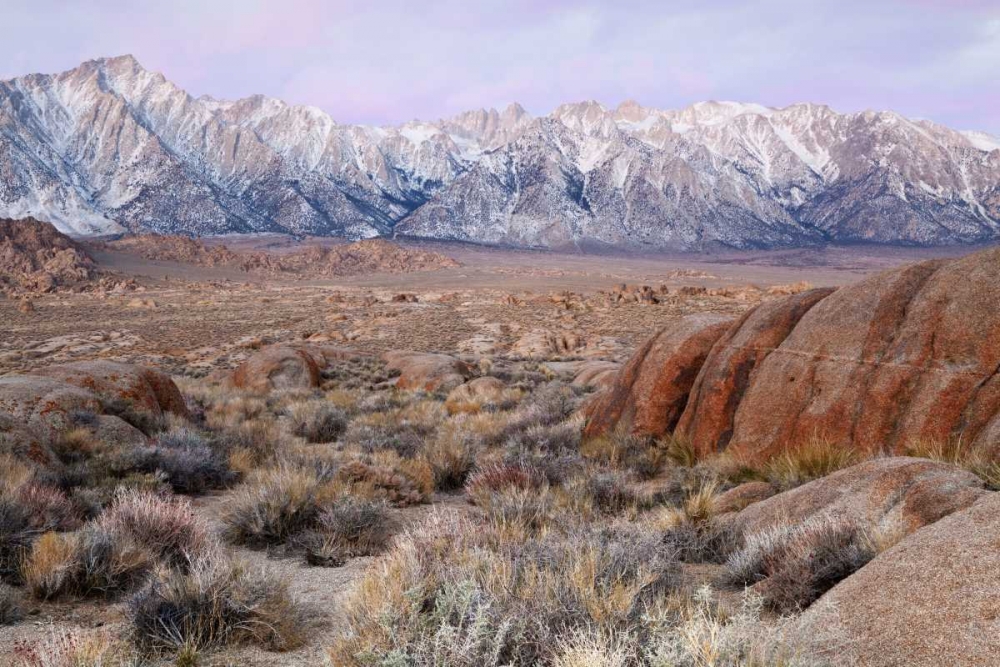California Lone Pine Peak and Mt Whitney art print by Don Paulson for $57.95 CAD