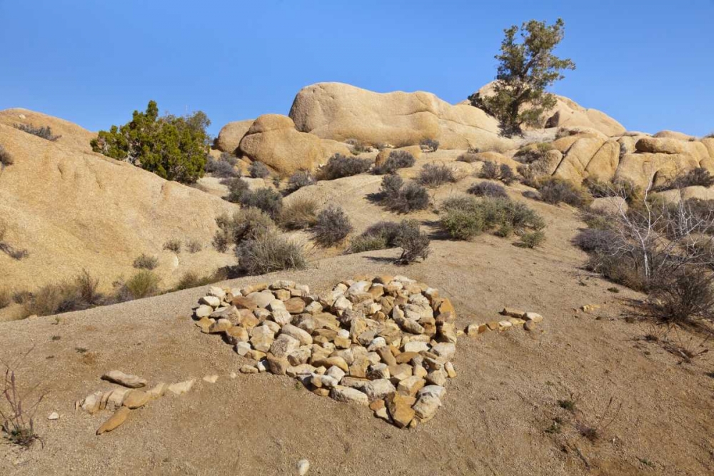 CA, Joshua Tree NP Stone heart pattern art print by Don Paulson for $57.95 CAD