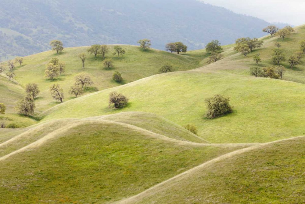 CA, Caliente Spring landscape art print by Don Paulson for $57.95 CAD