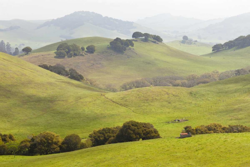 USA, California, Olema Landscape of farm fields art print by Don Paulson for $57.95 CAD