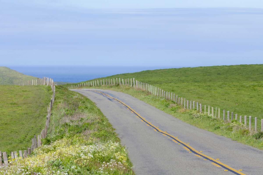 CA, Road through Point Reyes National Seashore art print by Don Paulson for $57.95 CAD