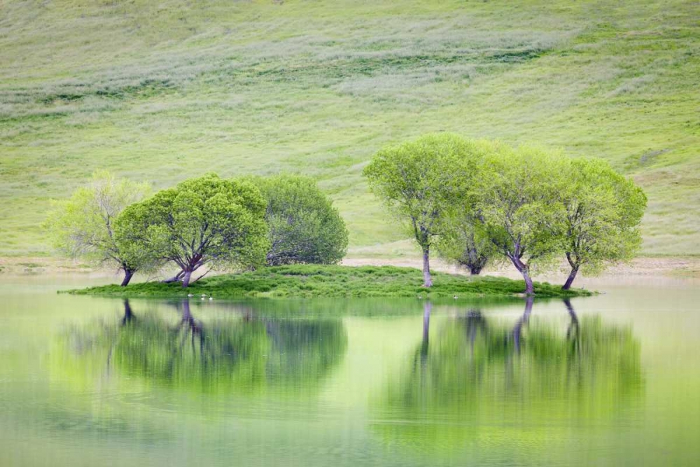 CA, Trees reflect in Black Butte Reservoir art print by Don Paulson for $57.95 CAD