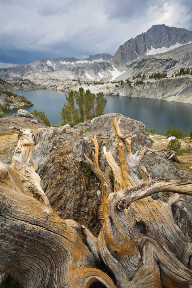California, Inyo National Forest Steelhead Lake art print by Don Paulson for $57.95 CAD