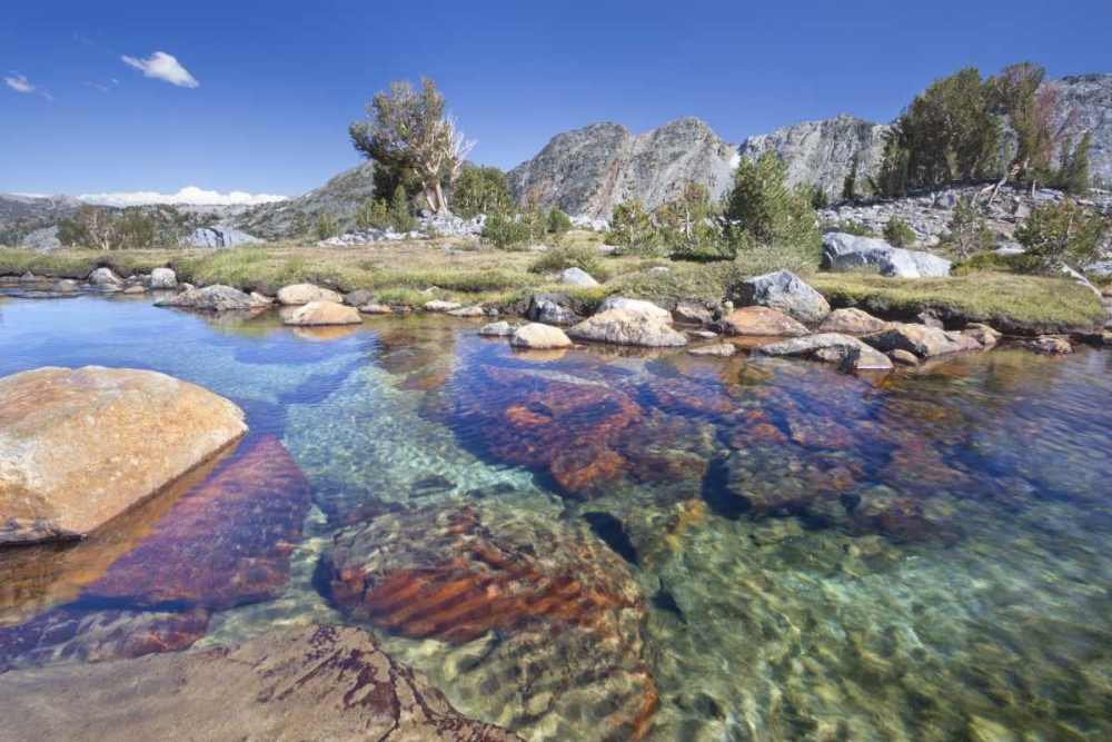 California, Inyo NF Clear stream by Garnet Lake art print by Don Paulson for $57.95 CAD