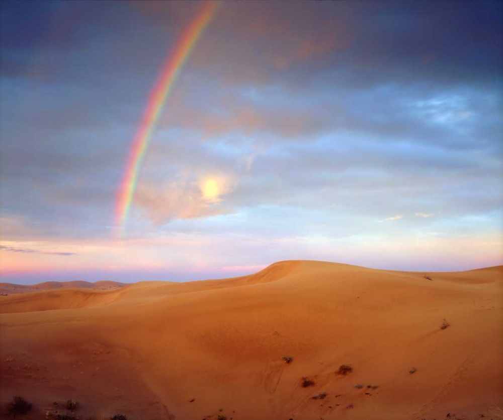 CA, A rainbow over Glamis Sand Dunes at Sunrise art print by Christopher Talbot Frank for $57.95 CAD