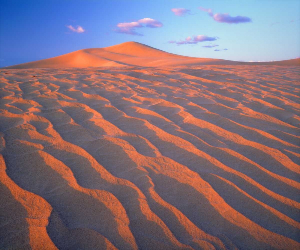 California, Dumont Dunes, Sand Dunes and Clouds art print by Christopher Talbot Frank for $57.95 CAD
