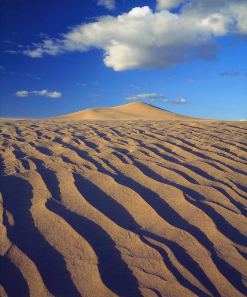 California, Dumont Dunes Sand Dunes and Clouds art print by Christopher Talbot Frank for $57.95 CAD