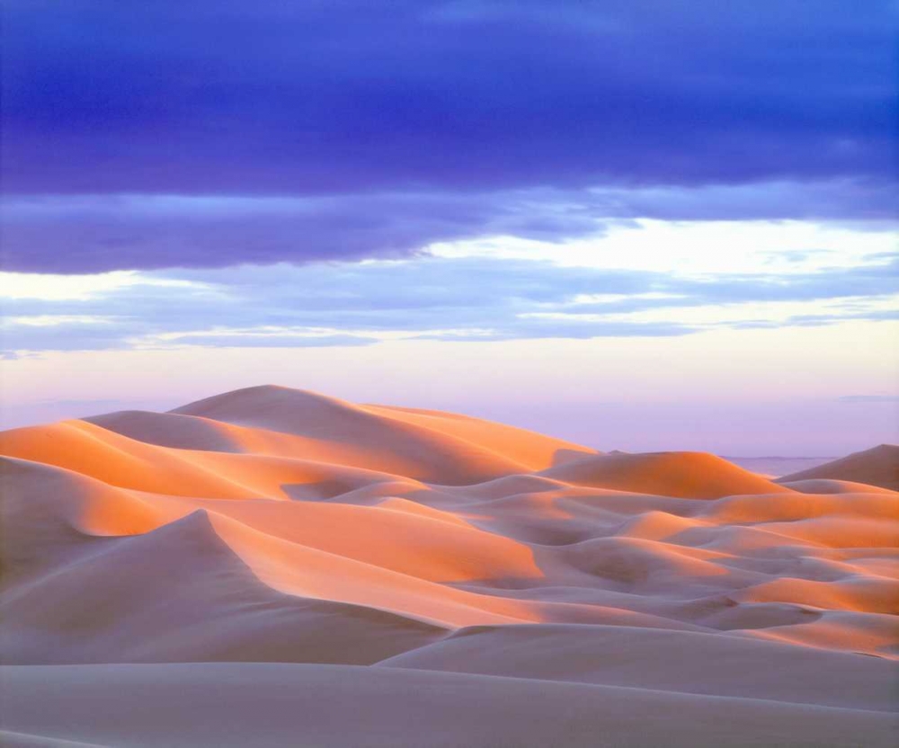 USA, California, Glamis Sand Dunes at sunset art print by Christopher Talbot Frank for $57.95 CAD