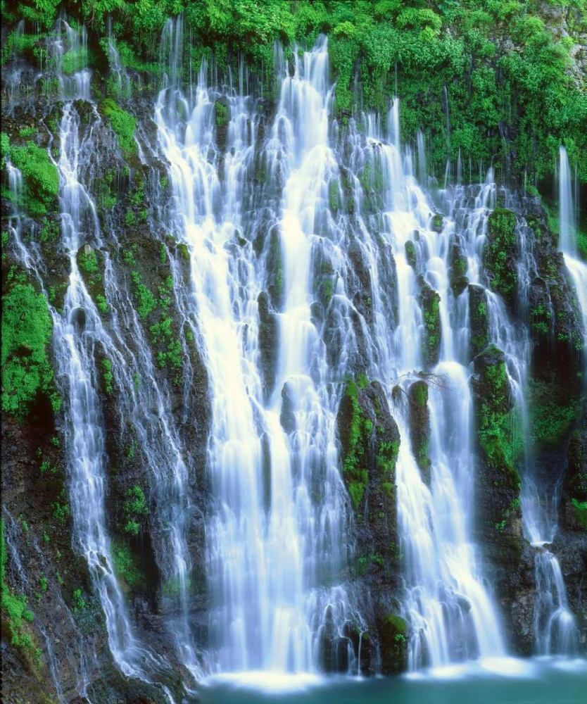 California, McArthur-Burney Falls, Burney Falls art print by Christopher Talbot Frank for $57.95 CAD