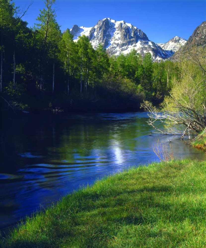 California, Rush Creek in the Sierra Nevada Mts art print by Christopher Talbot Frank for $57.95 CAD