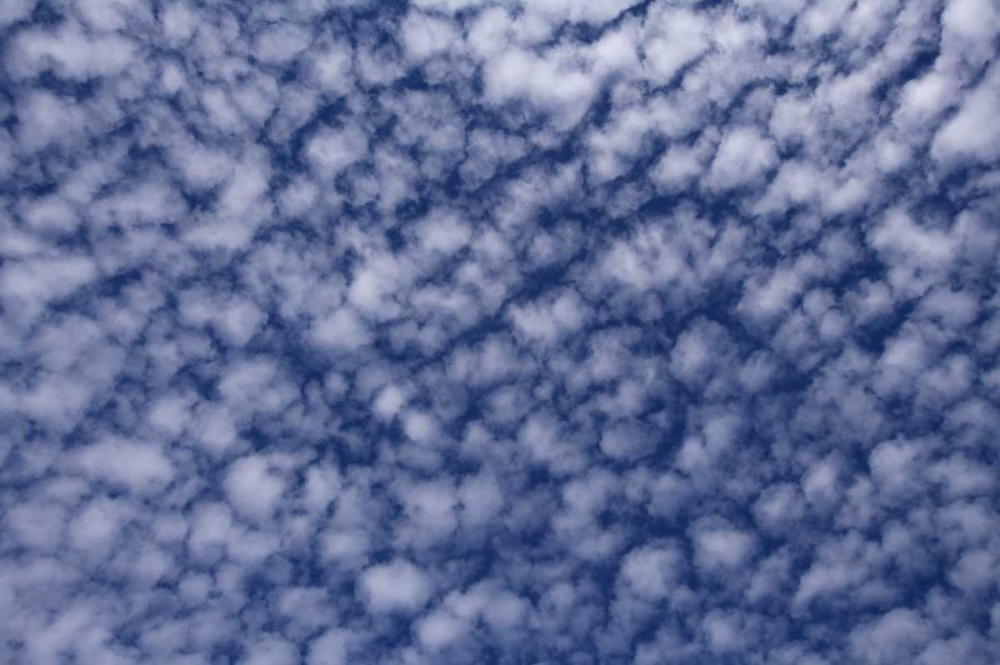 USA, California, San Diego, Clouds art print by Christopher Talbot Frank for $57.95 CAD