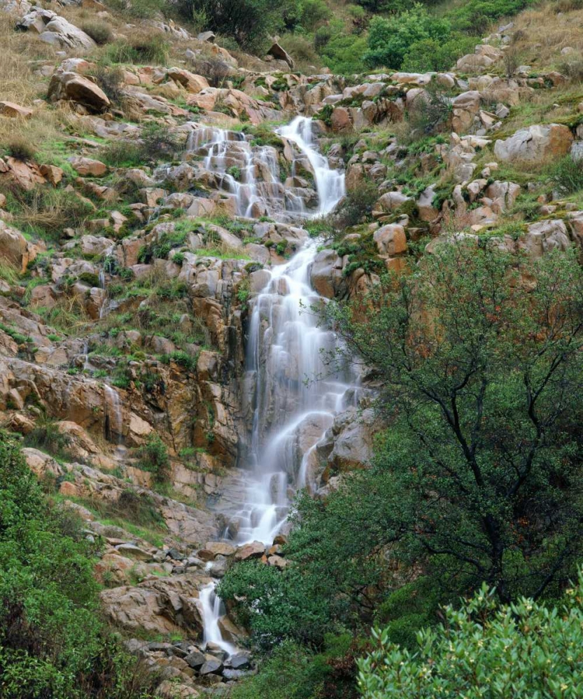CA, San Diego, Mission Trails Park A waterfall art print by Christopher Talbot Frank for $57.95 CAD