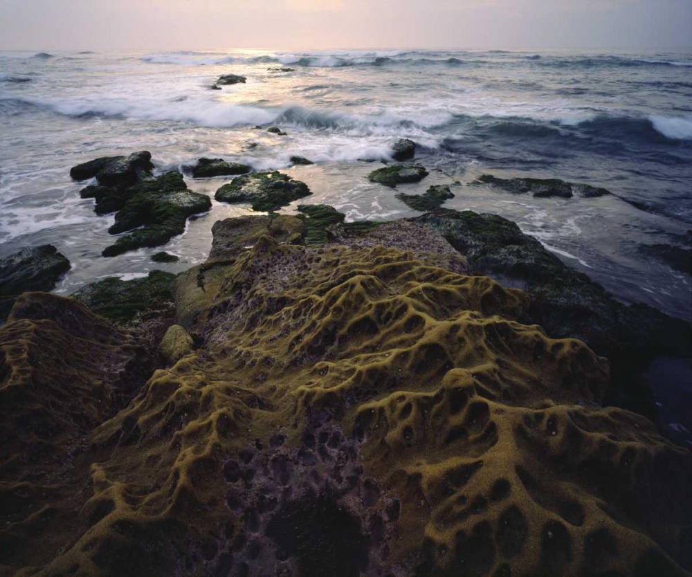 CA, San Diego, Sandstone formations on the Coast art print by Christopher Talbot Frank for $57.95 CAD
