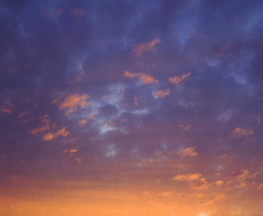 USA, California, San Diego, Sunset Clouds art print by Christopher Talbot Frank for $57.95 CAD
