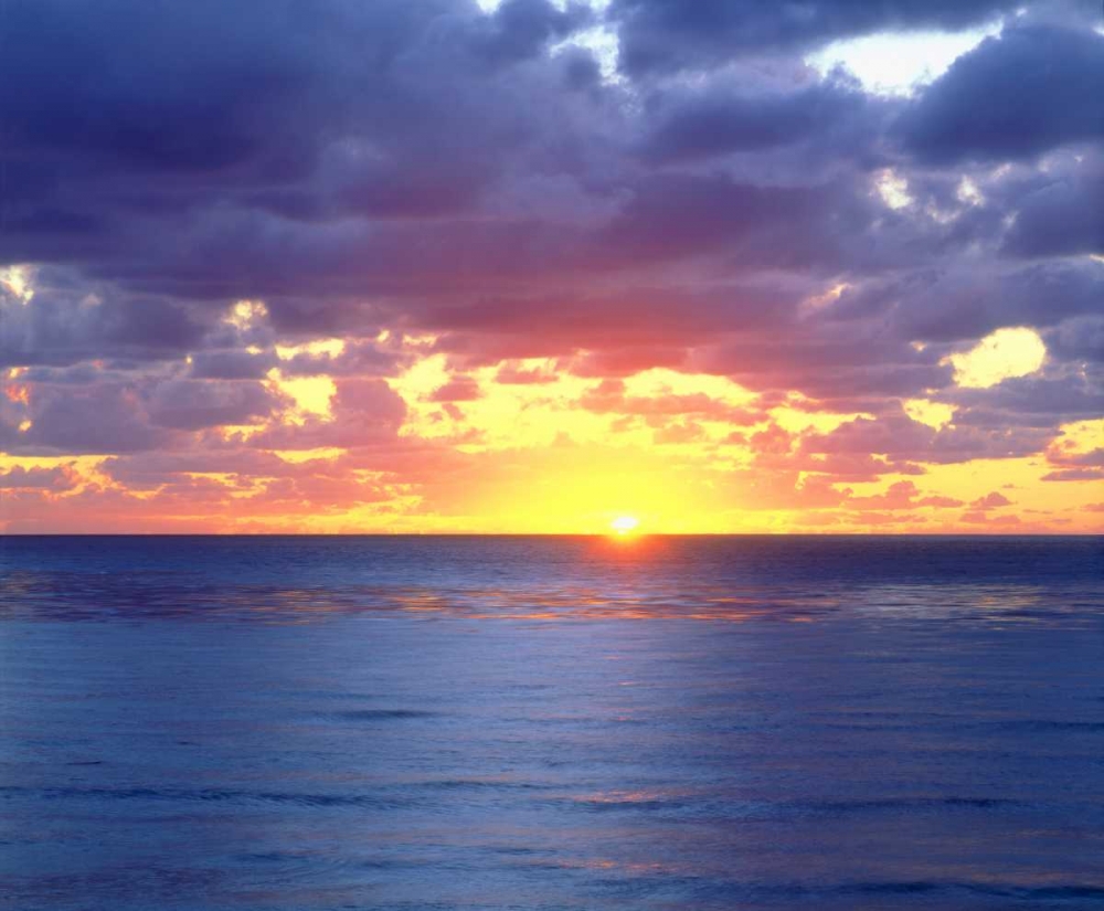California, San Diego, Sunset Cliffs at Sunset art print by Christopher Talbot Frank for $57.95 CAD