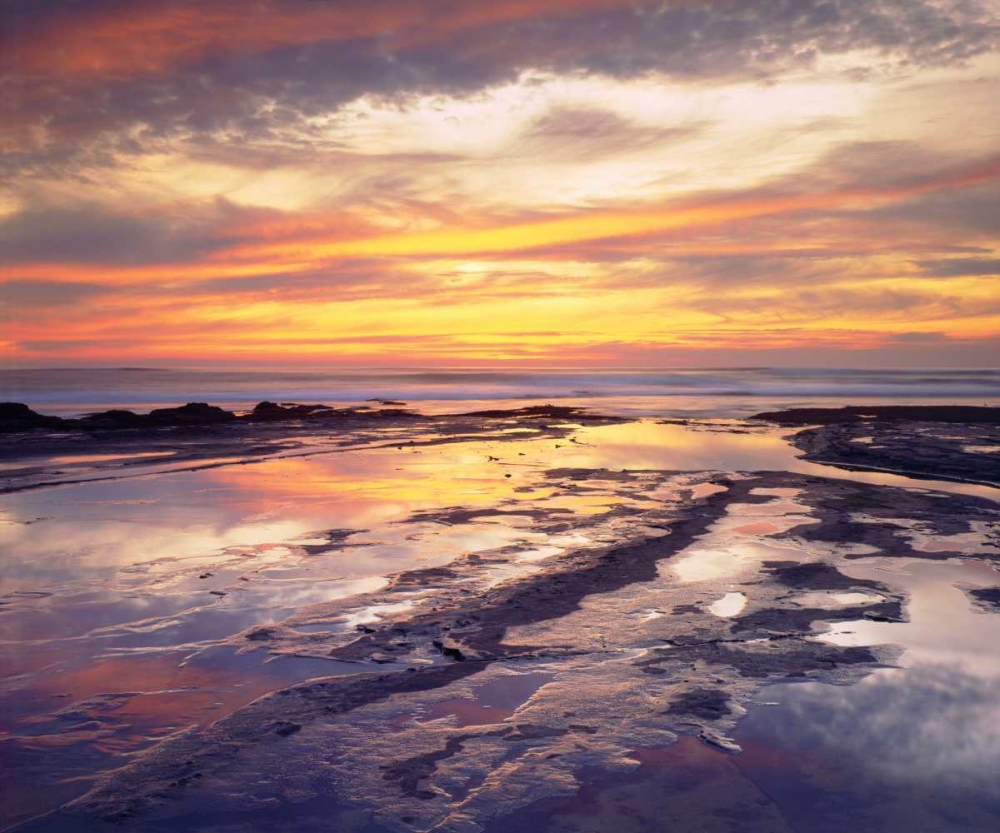 California, San Diego, Sunset Cliffs tide pools art print by Christopher Talbot Frank for $57.95 CAD
